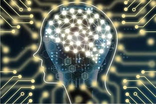 腦機接口迎來奇點時刻 人工智能公共數據平臺催生顛覆性突破